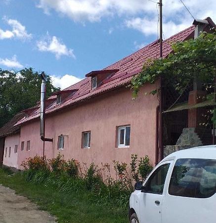 Villa Casa Boierului Imbri Cîrţişoara Exterior foto