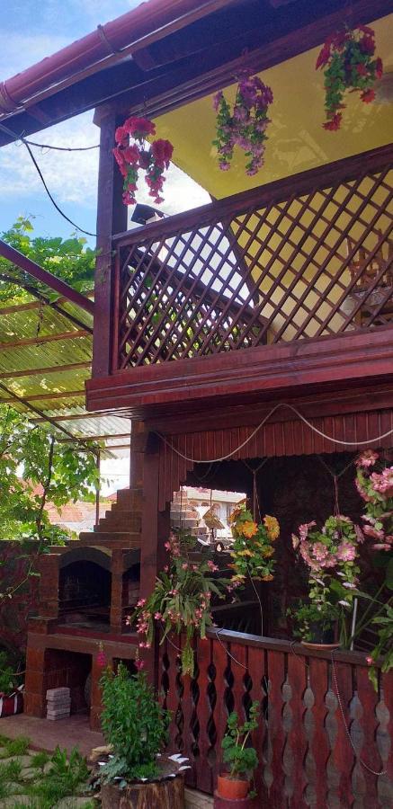 Villa Casa Boierului Imbri Cîrţişoara Exterior foto