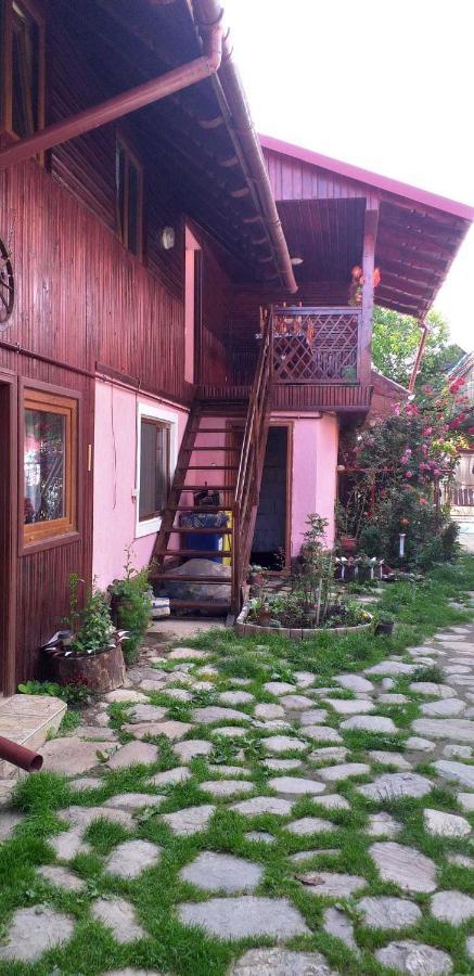 Villa Casa Boierului Imbri Cîrţişoara Exterior foto