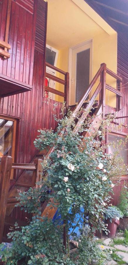 Villa Casa Boierului Imbri Cîrţişoara Exterior foto