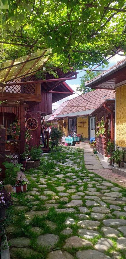 Villa Casa Boierului Imbri Cîrţişoara Exterior foto