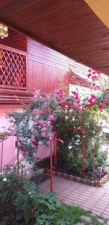 Villa Casa Boierului Imbri Cîrţişoara Exterior foto